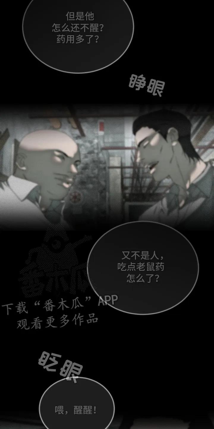 《物种的进化》第1章：地下拳击场 第2页