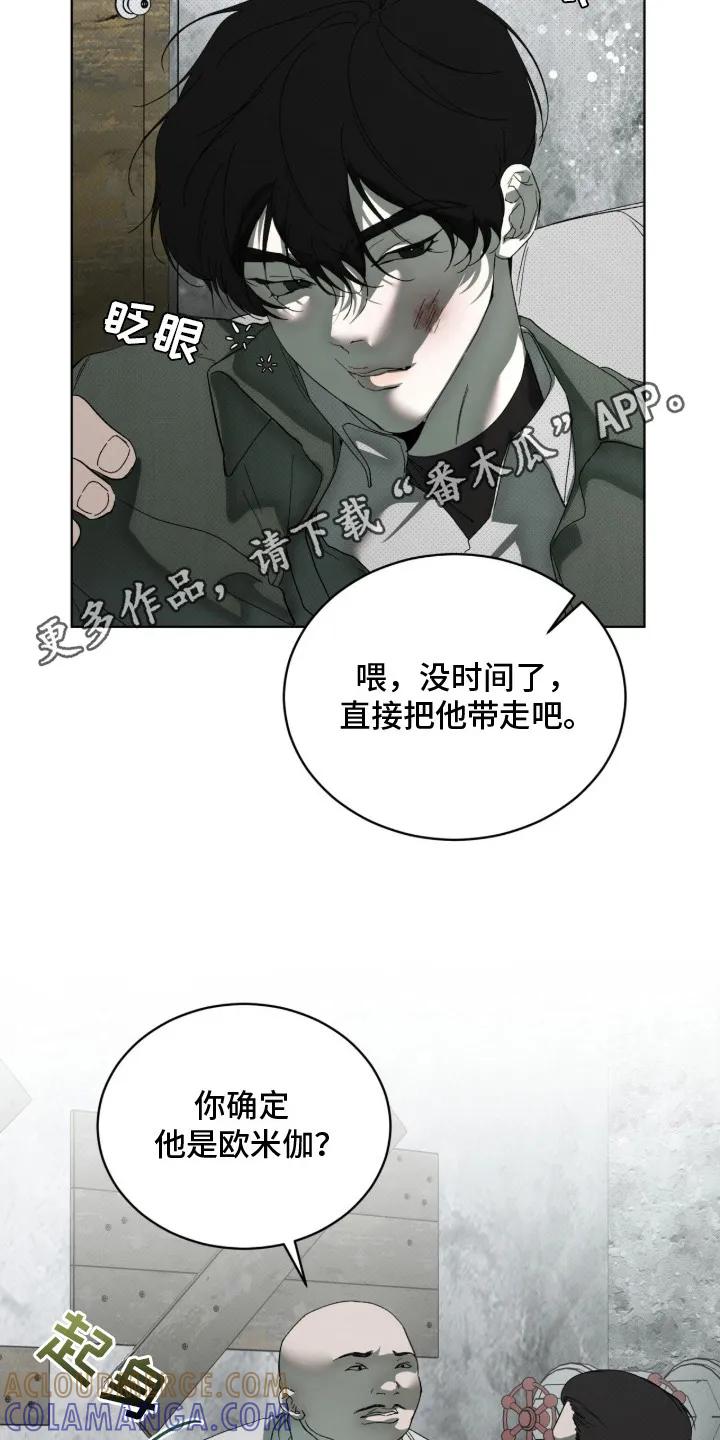 《物种的进化》第1章：地下拳击场 第5页