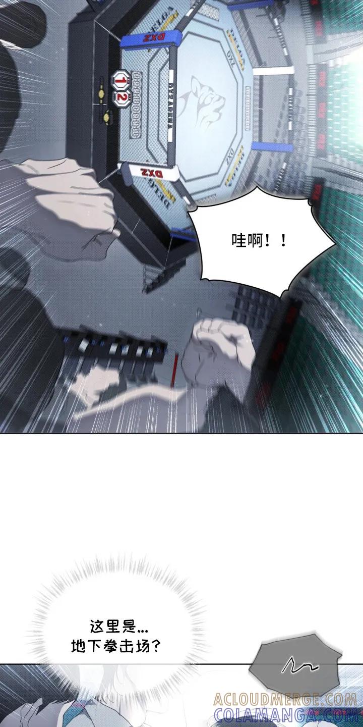 《物种的进化》第1章：地下拳击场 第13页