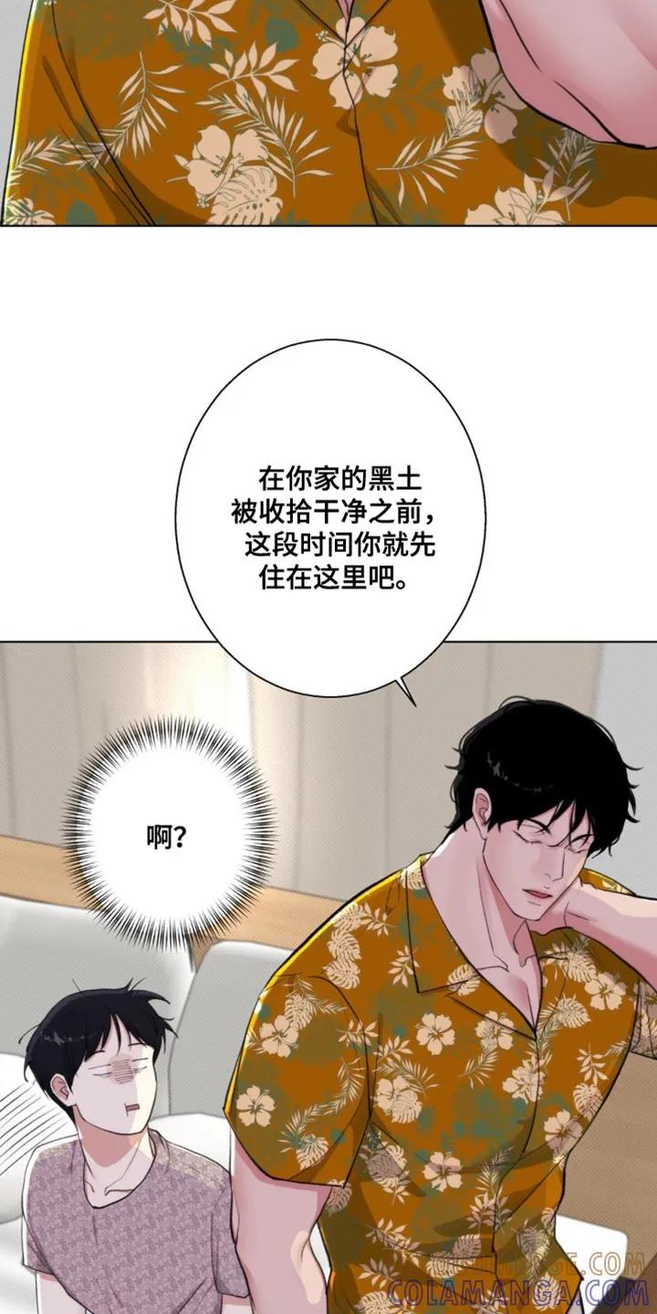 《海岛人生》第14章：游刃有余 第11页