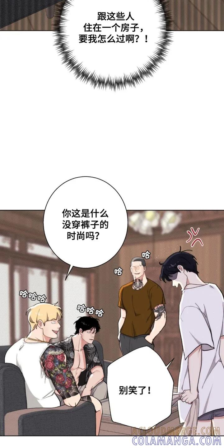 《海岛人生》第14章：游刃有余 第27页