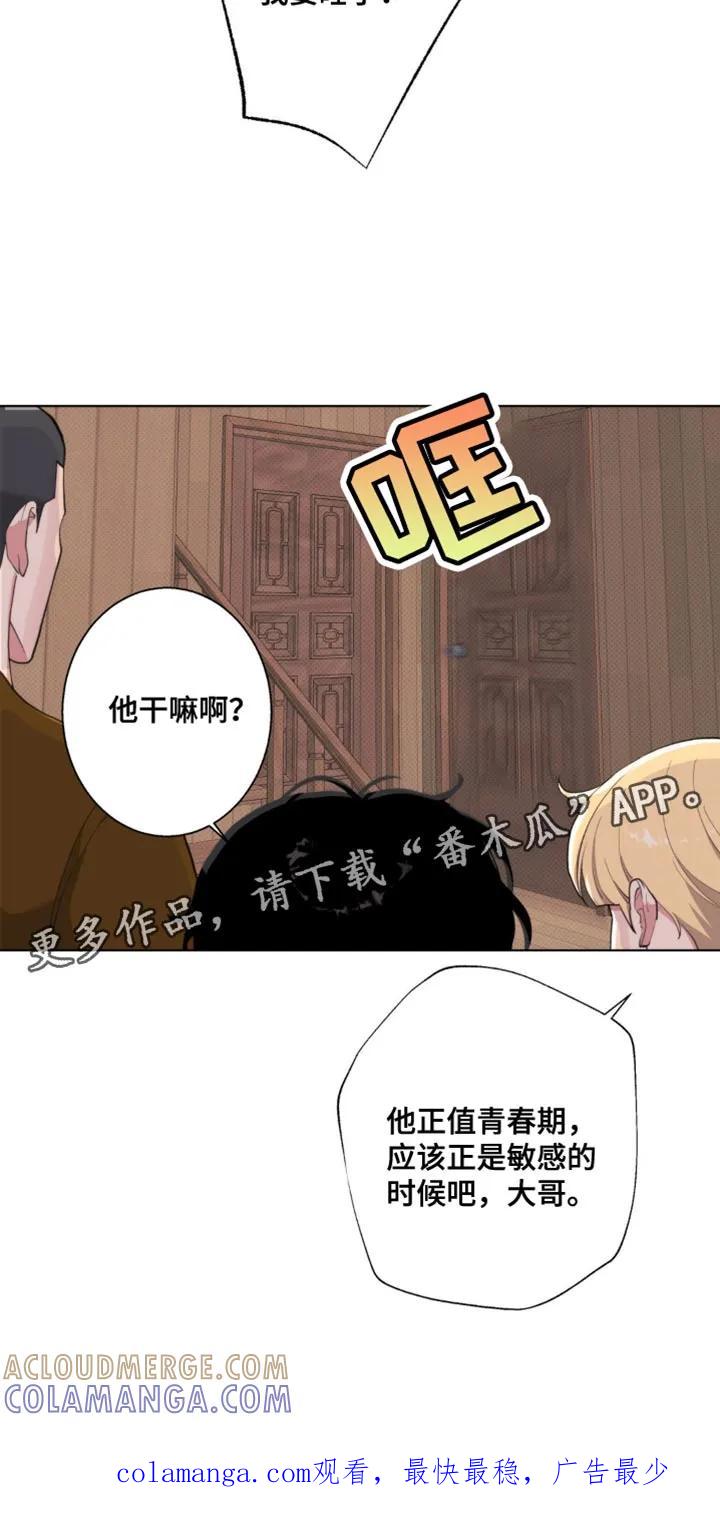 《海岛人生》第14章：游刃有余 第33页