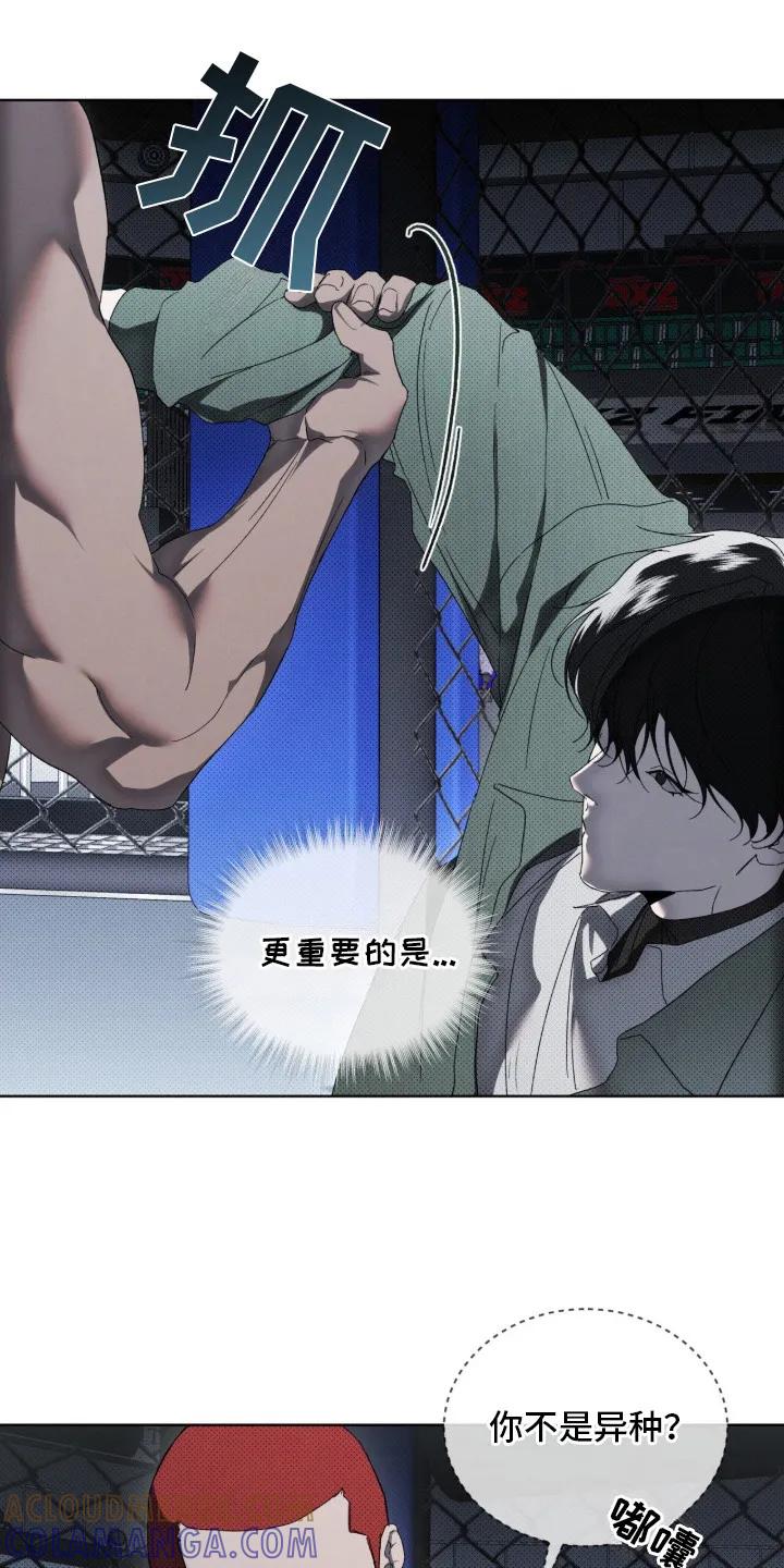 《物种的进化》第2章：抱摔 第13页