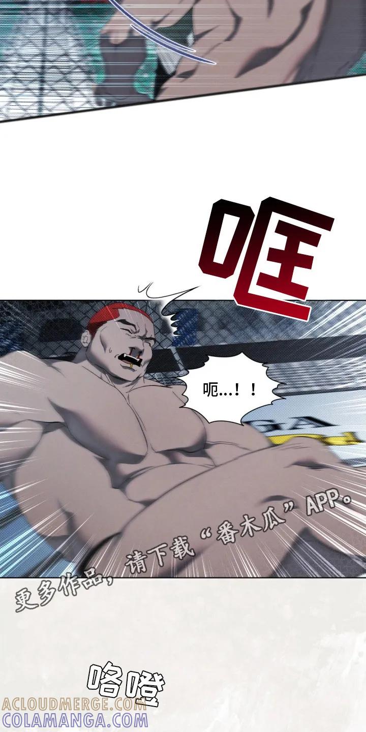 《物种的进化》第3章：新冠军 第4页