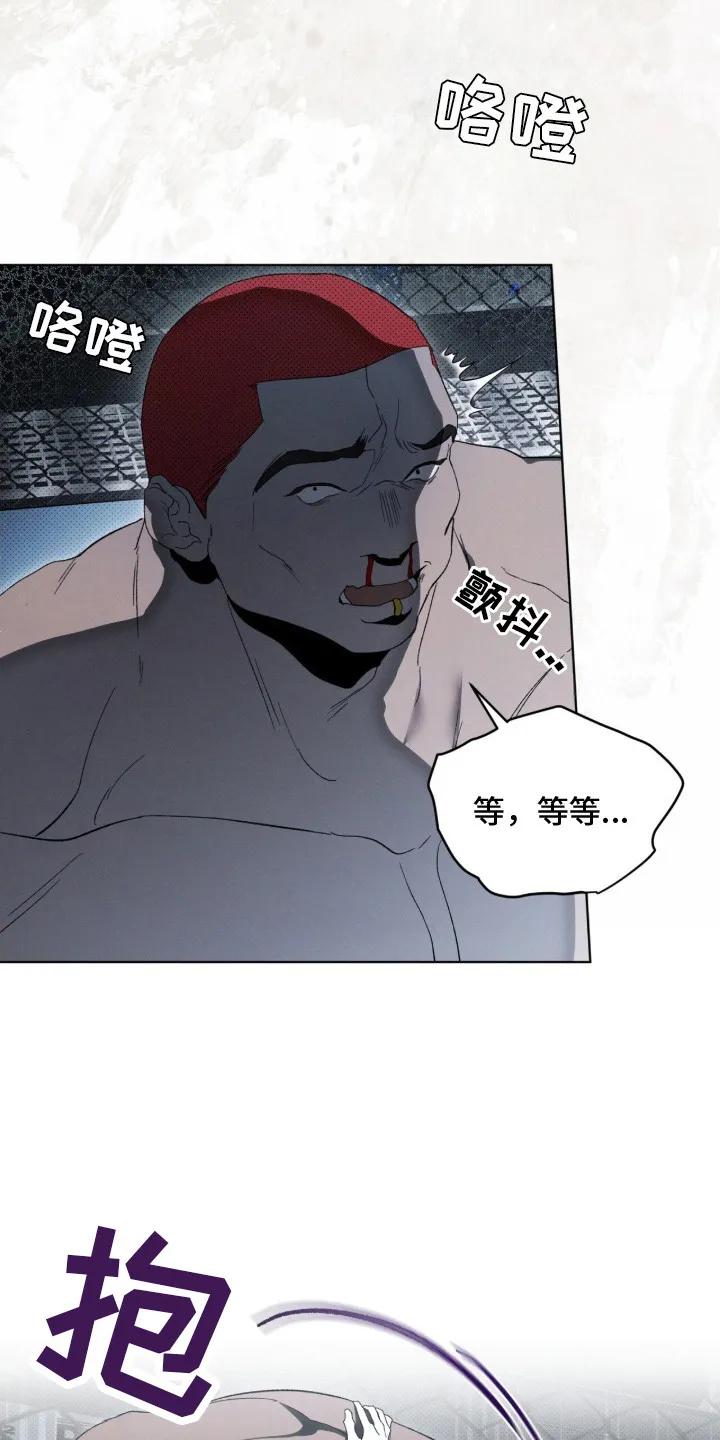 《物种的进化》第3章：新冠军 第5页