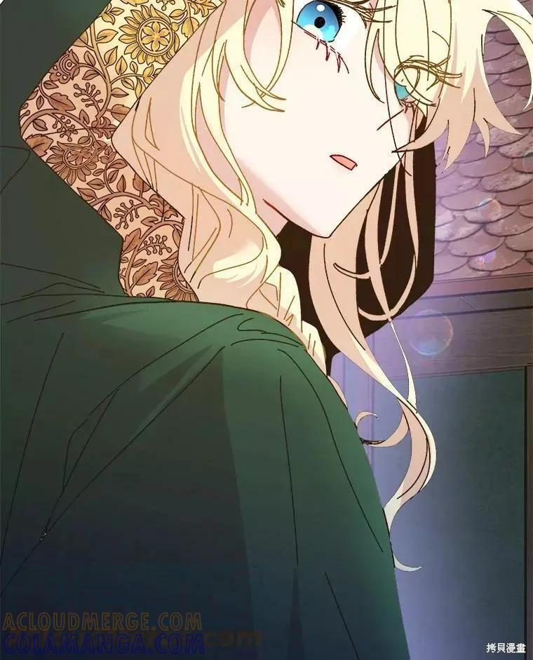 《王女在装疯卖傻》第60话 第169页