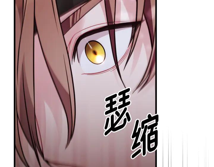 《好缘歌》第47话 第215页