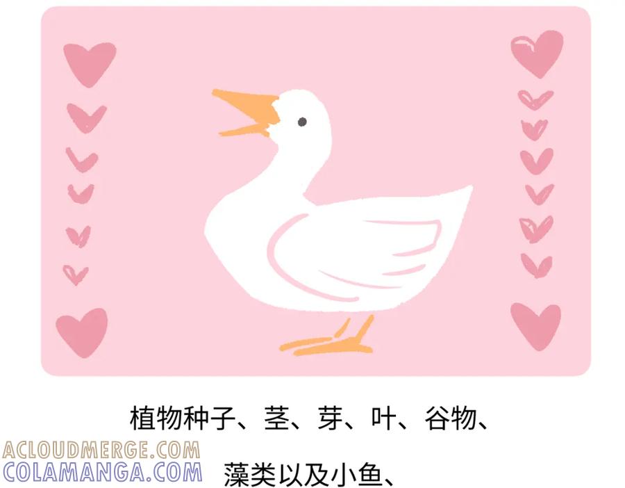 《胖达x胖达》第269话 第23页