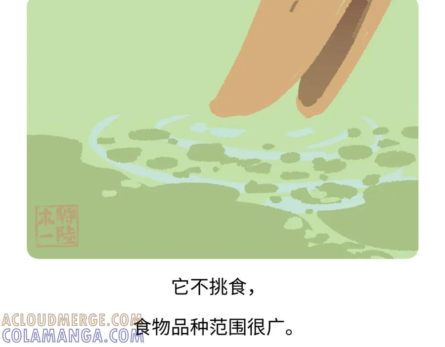 《胖达x胖达》第269话 第21页