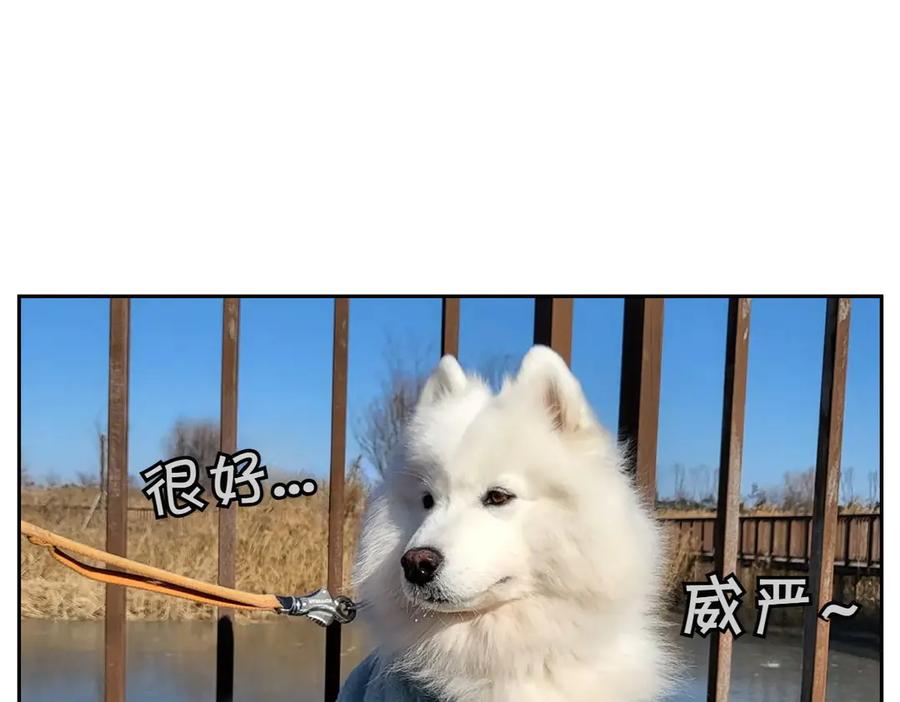 《我的狗子叫棉花》第45话 棉花的冬季散步look 第27页