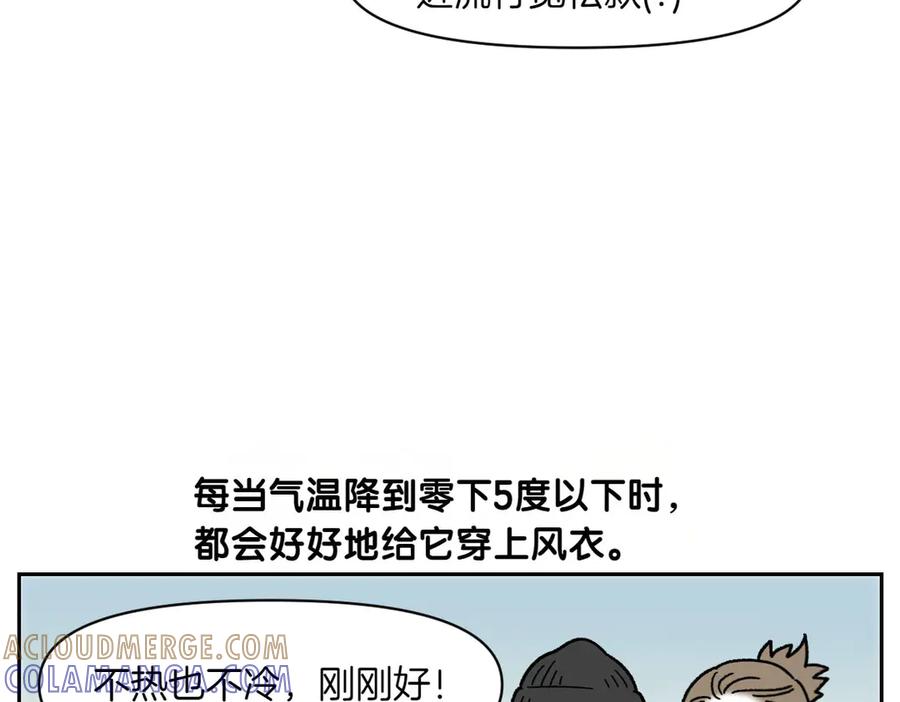 《我的狗子叫棉花》第45话 棉花的冬季散步look 第43页