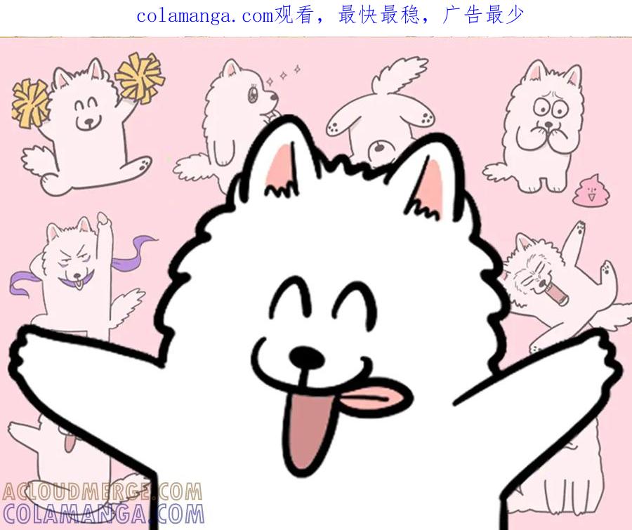 《我的狗子叫棉花》第45话 棉花的冬季散步look 第1页
