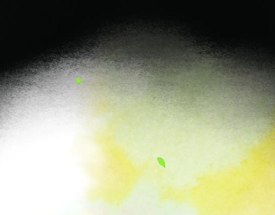 《仙槎记》1.由此记起 第91页