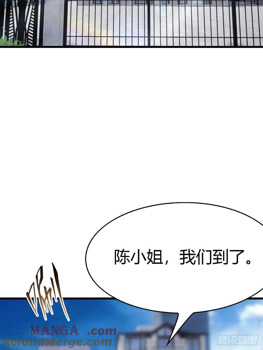 《都市圣手：我即医武巅峰》第77话 拍卖会的阴谋 第31页