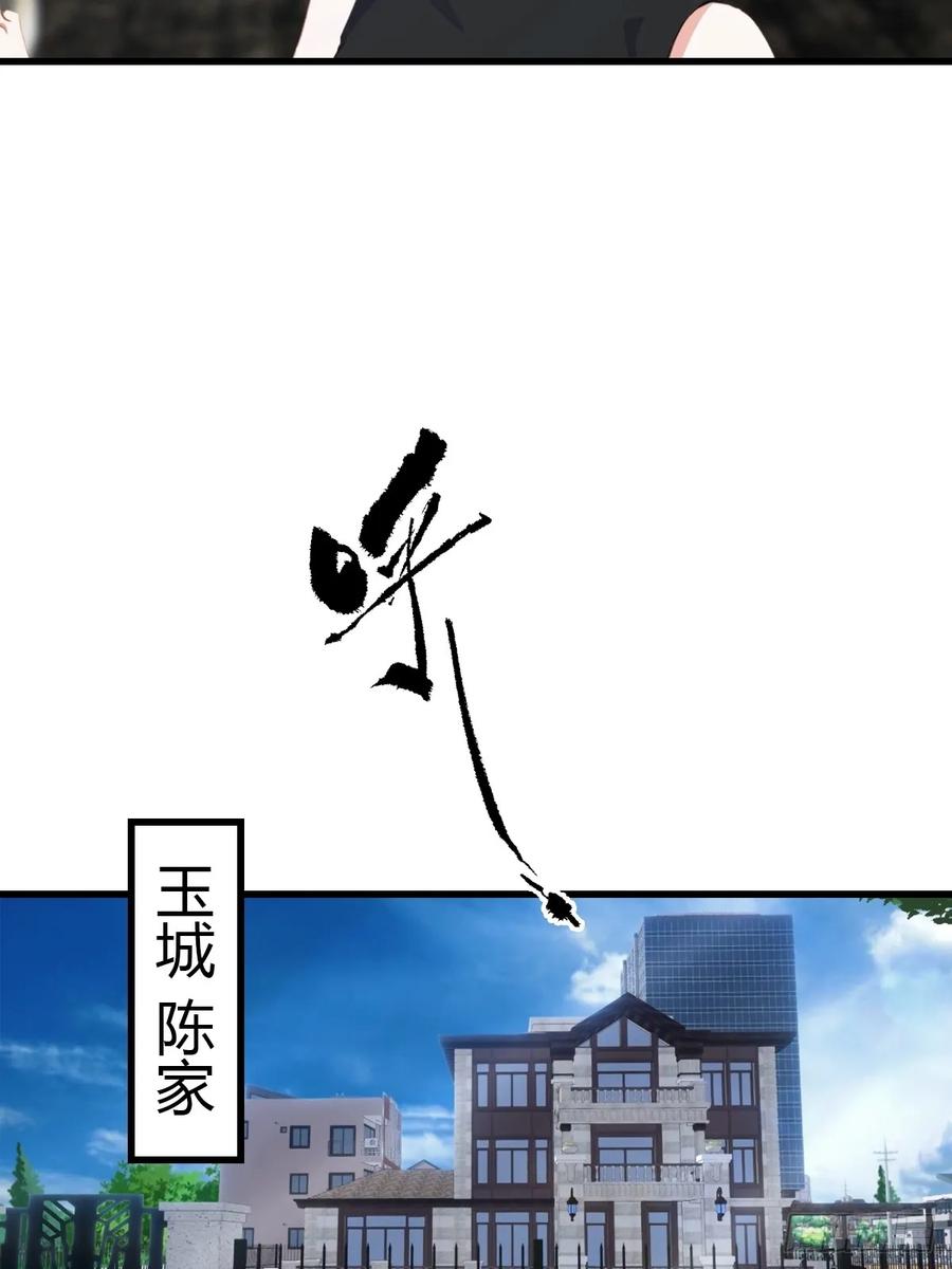 《都市圣手：我即医武巅峰》第77话 拍卖会的阴谋 第30页