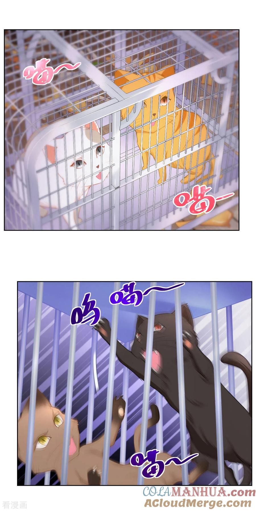 想成为废柴的公爵小姐 第3话 两只猫 第11页