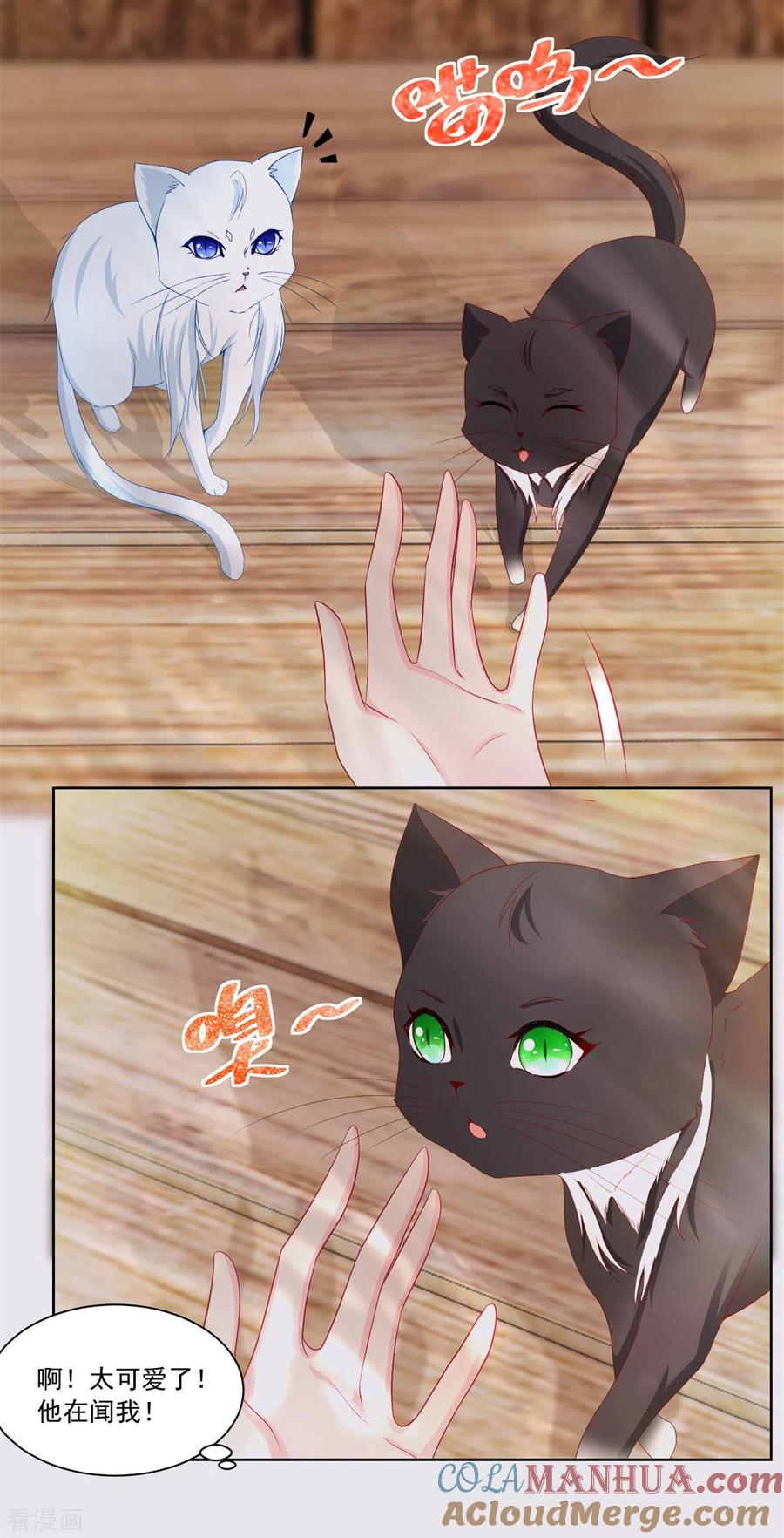想成为废柴的公爵小姐 第3话 两只猫 第19页