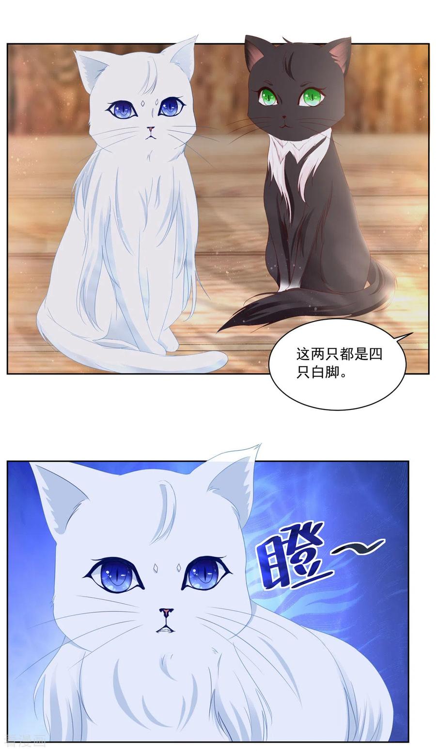 想成为废柴的公爵小姐 第3话 两只猫 第16页
