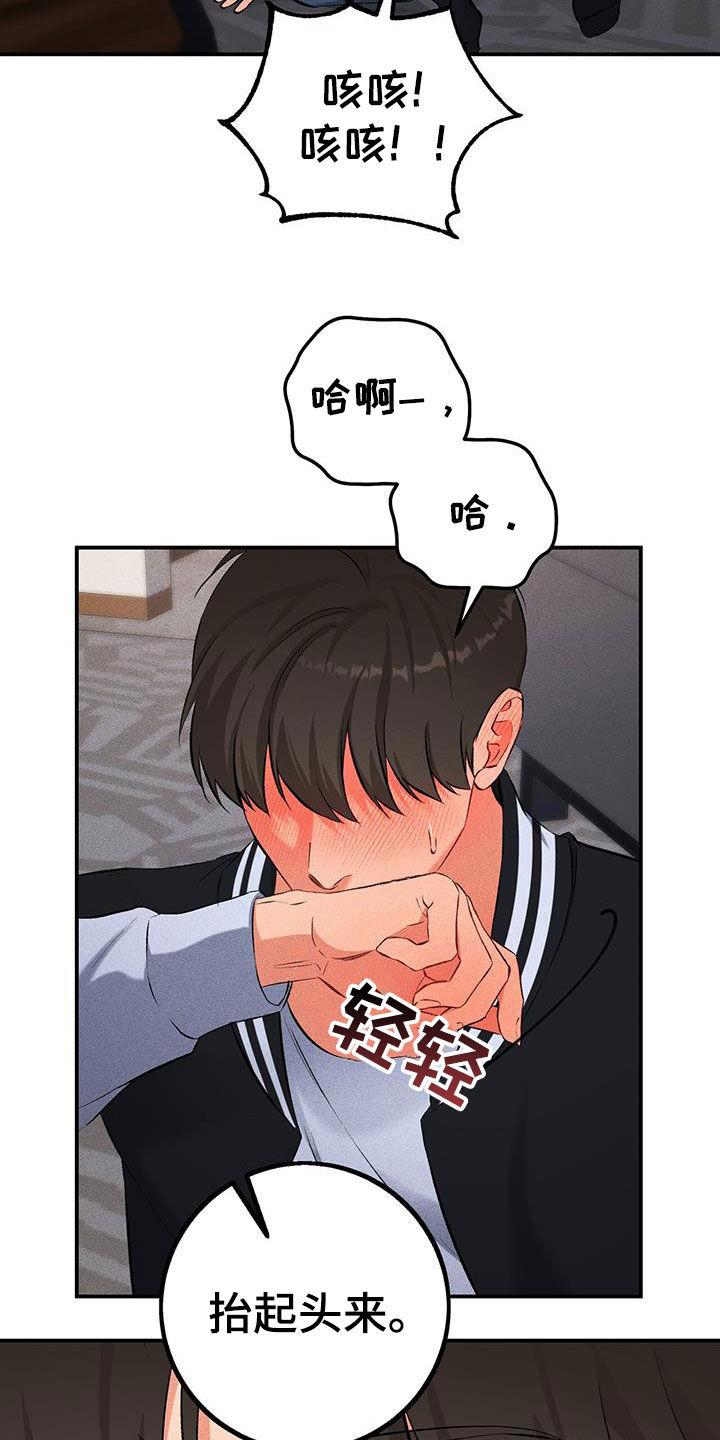 《债务条约》第19章：应付 第20页