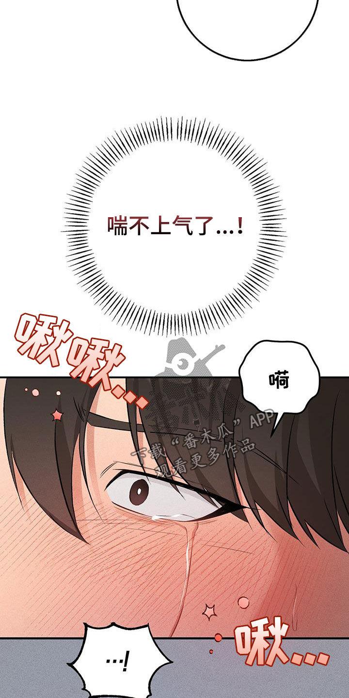《债务条约》第19章：应付 第10页