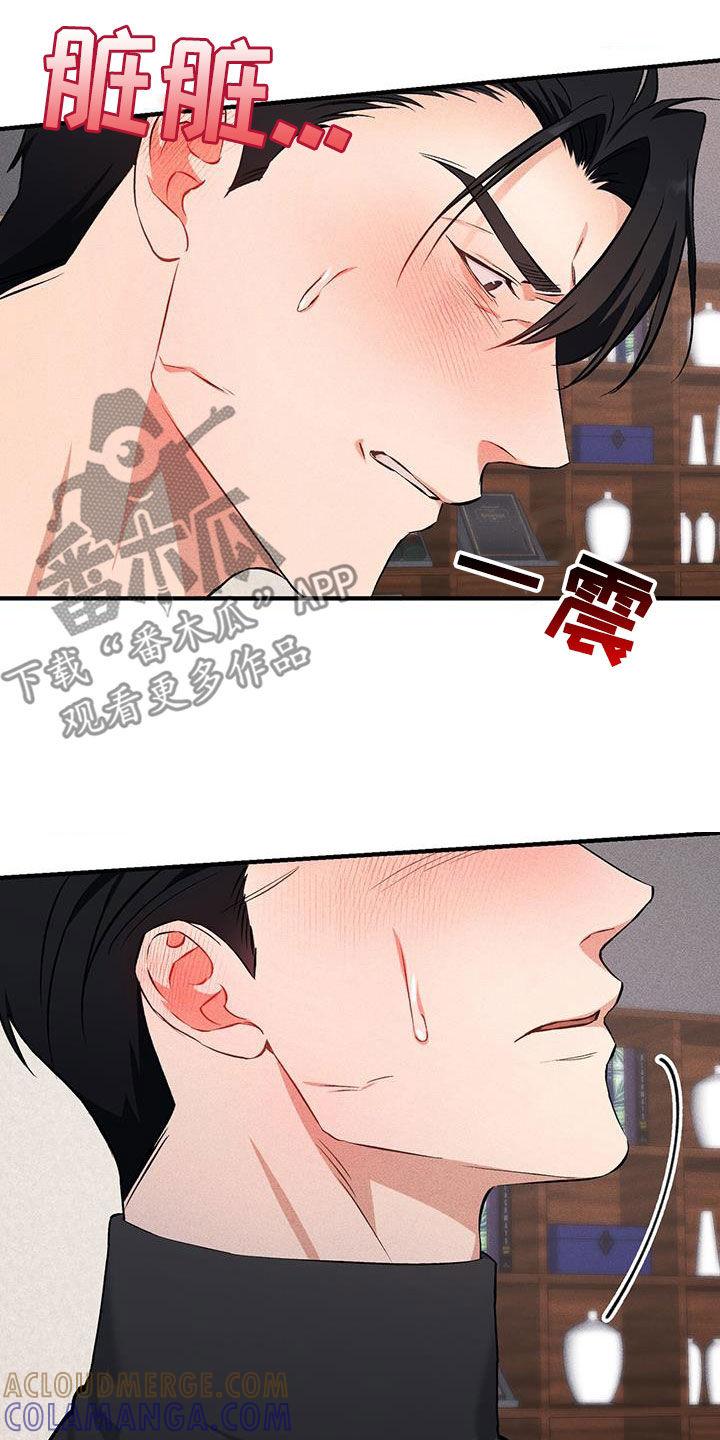 《债务条约》第19章：应付 第13页