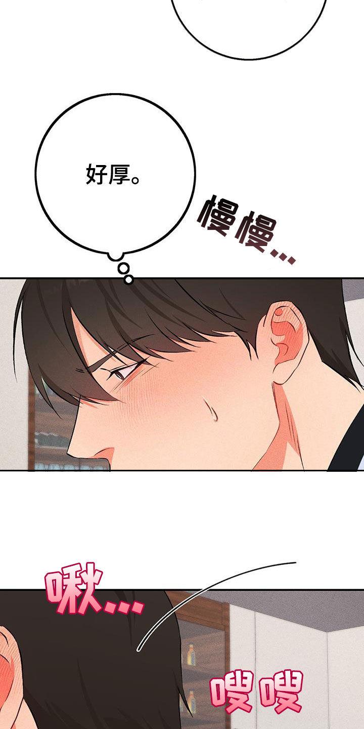 《债务条约》第19章：应付 第4页