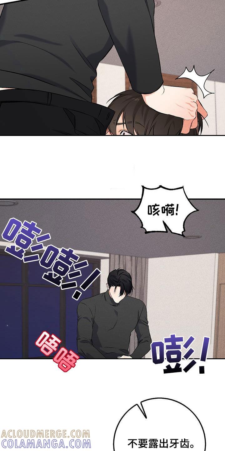 《债务条约》第19章：应付 第9页