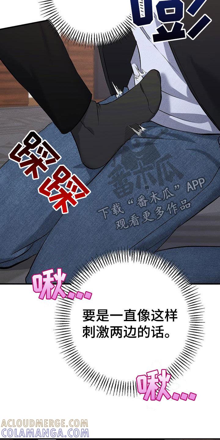 《债务条约》第19章：应付 第17页