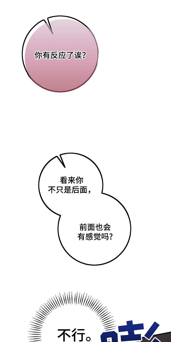 《债务条约》第19章：应付 第16页