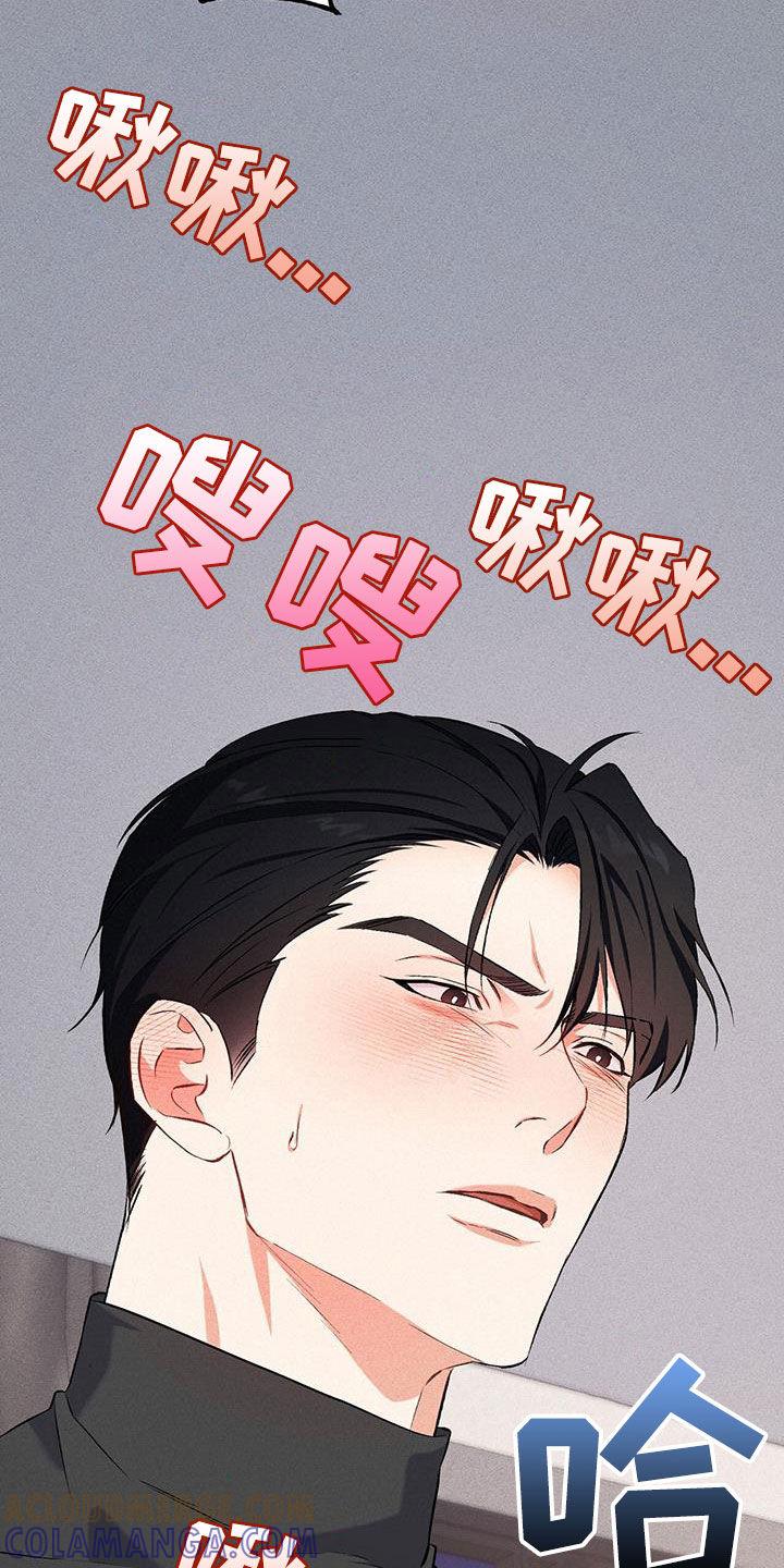 《债务条约》第19章：应付 第11页