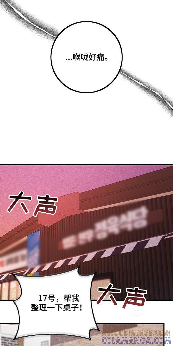 《债务条约》第21章：说谎了 第17页