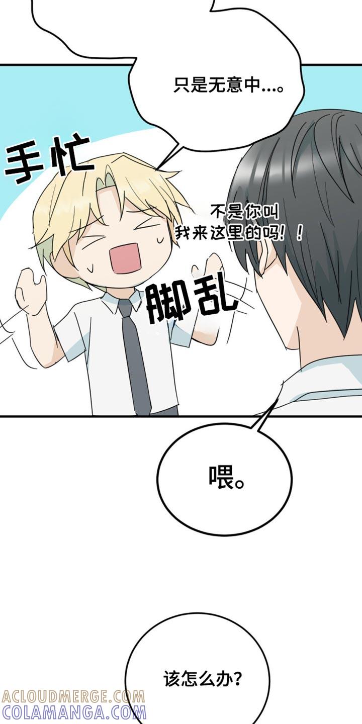 《互补人生》第22章：让人无语 第17页