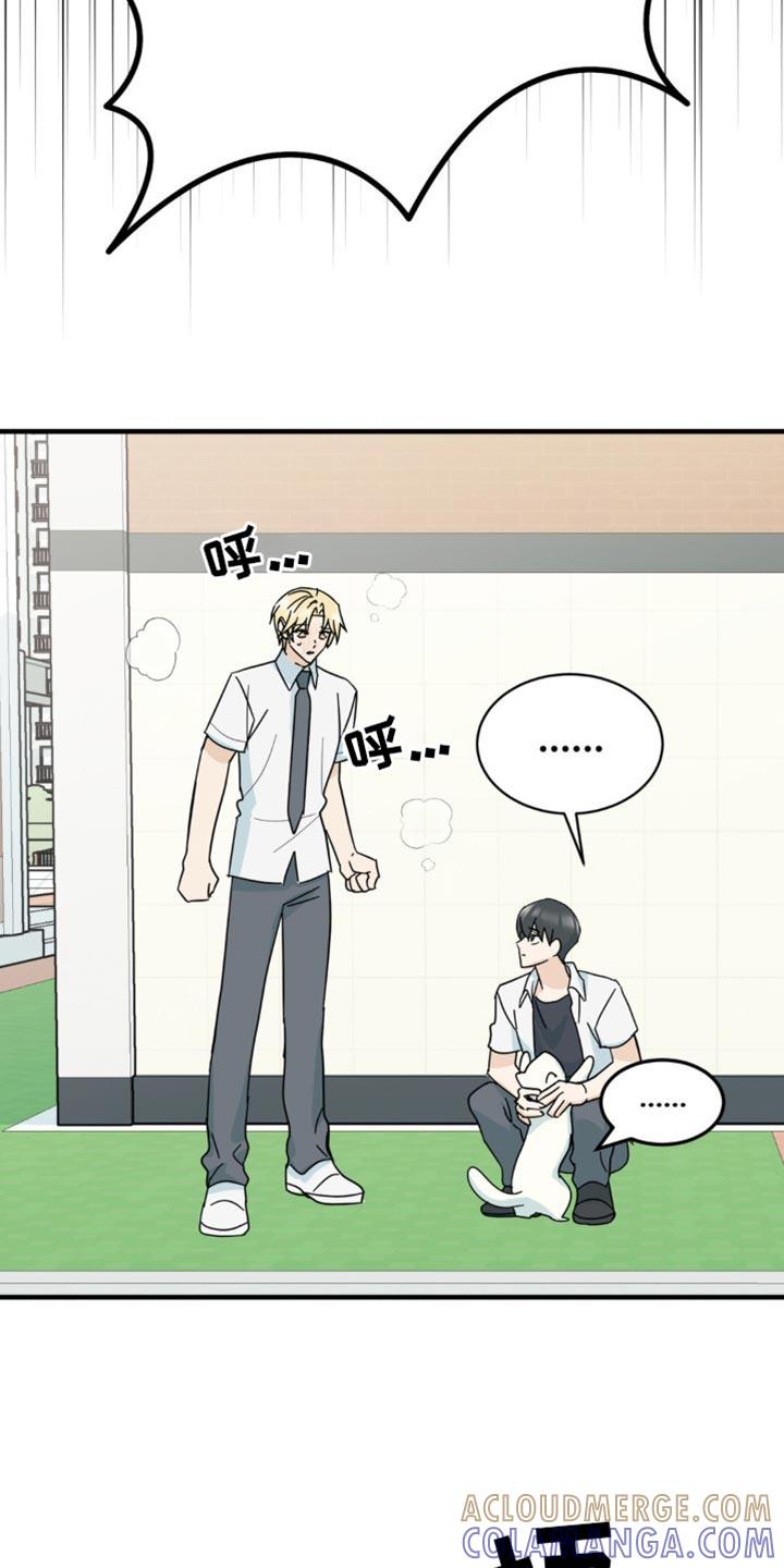 《互补人生》第22章：让人无语 第35页
