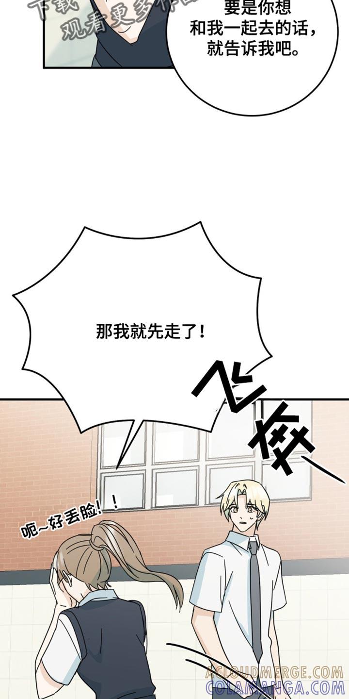 《互补人生》第22章：让人无语 第13页