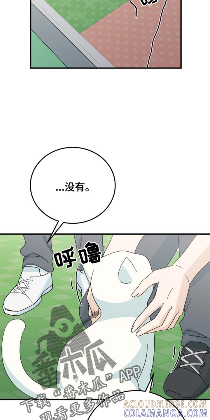 《互补人生》第22章：让人无语 第27页