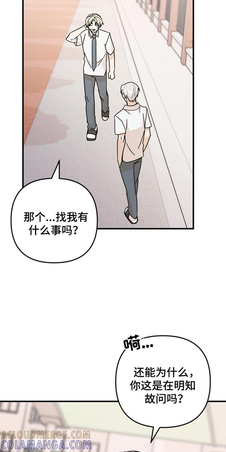 《互补人生》第24章：毫无音讯 第3页