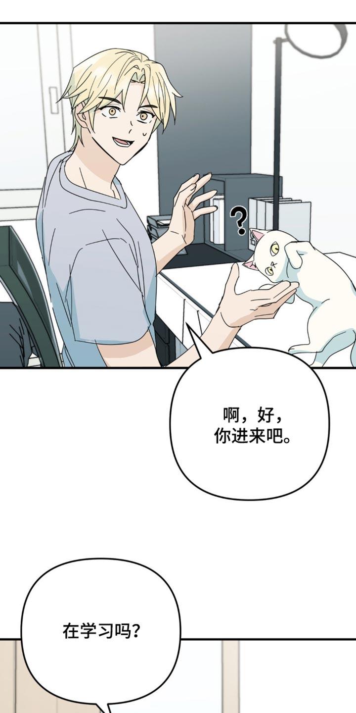 《互补人生》第24章：毫无音讯 第22页