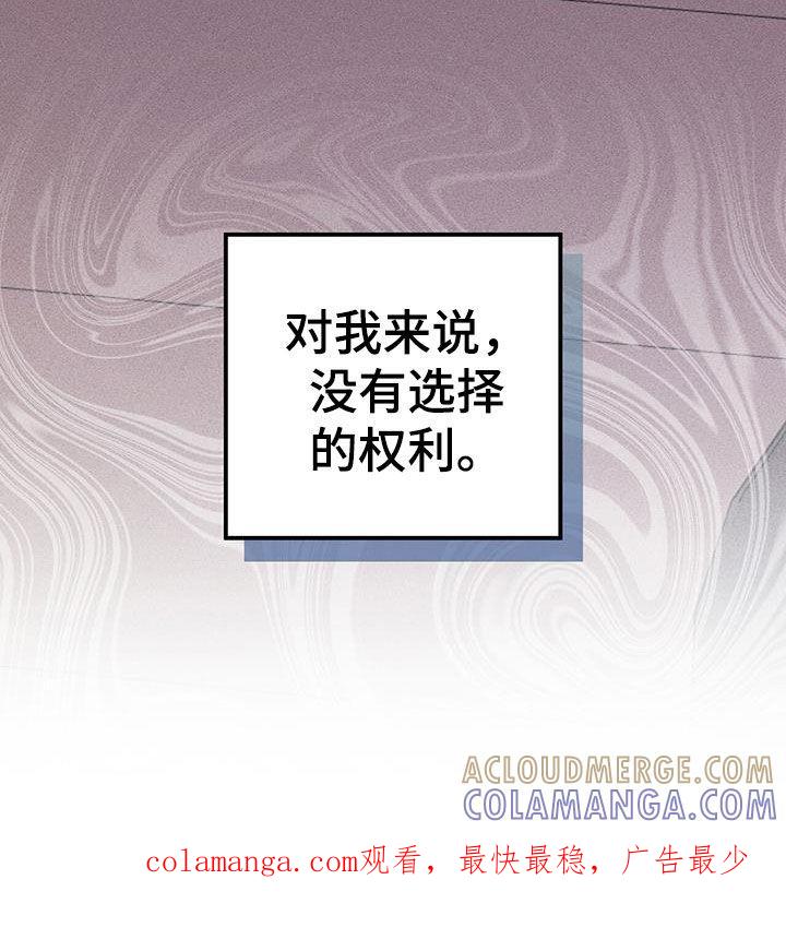 《债务条约》第24章：没有选择的权利 第37页