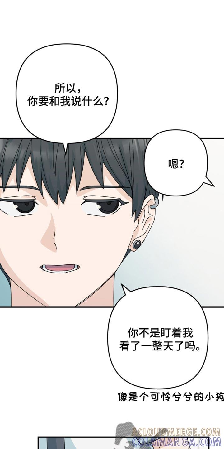 《互补人生》第25章：我真的能行吗？ 第13页