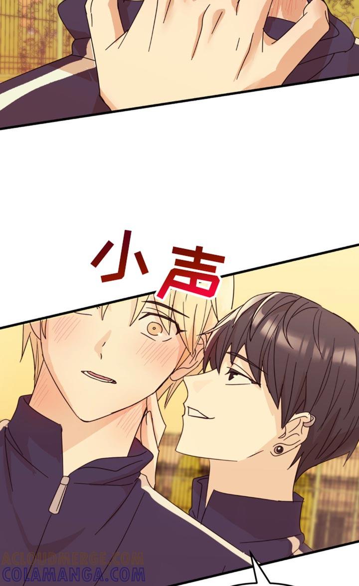 《互补人生》第26章：真的很安静 第19页