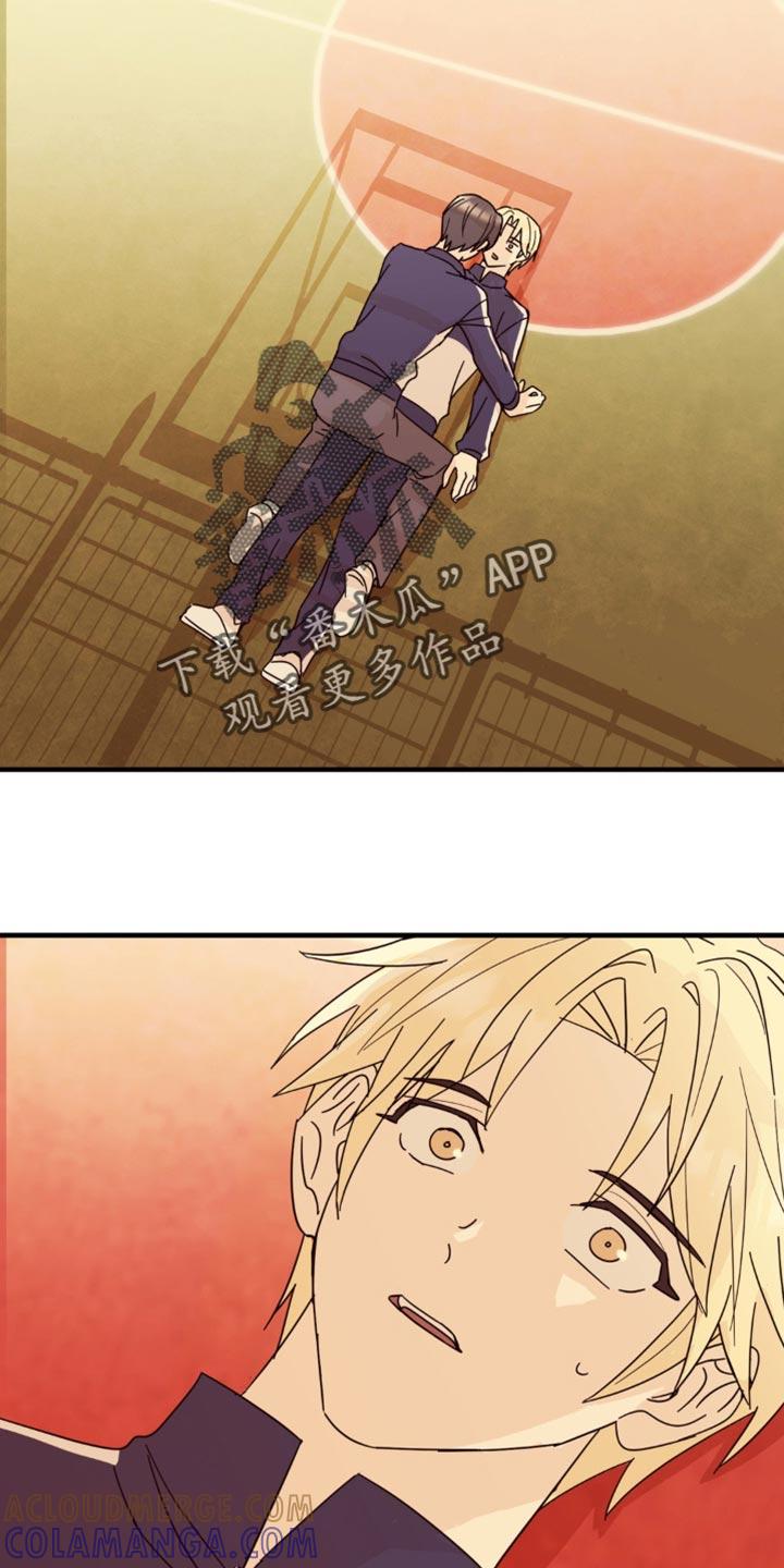 《互补人生》第27章：我想要确认一下 第19页