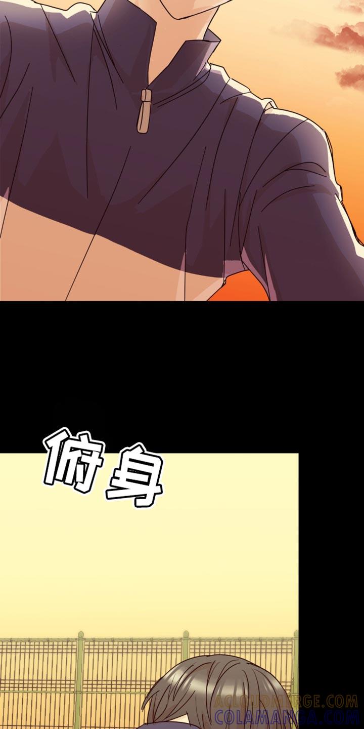 《互补人生》第28章：花心大萝卜 第13页