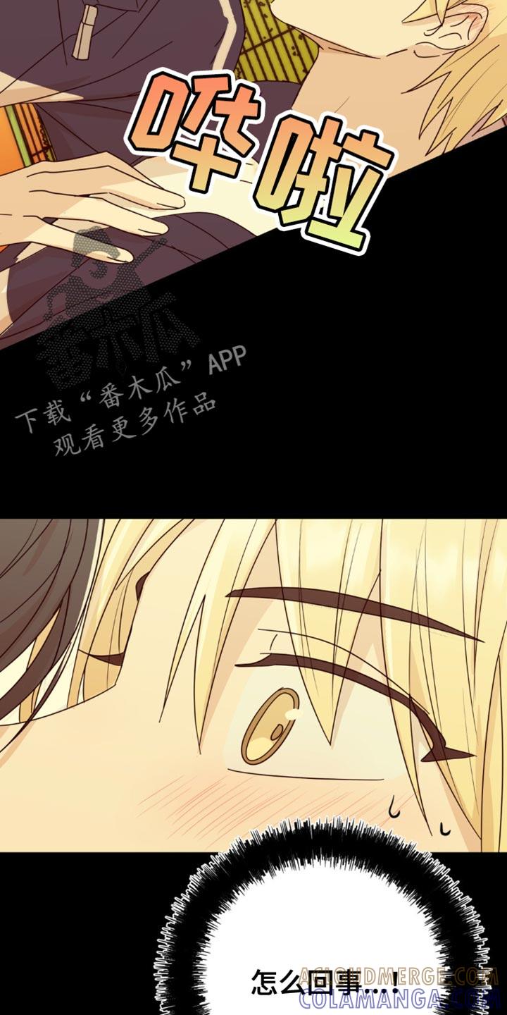 《互补人生》第28章：花心大萝卜 第15页
