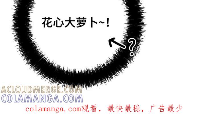 《互补人生》第28章：花心大萝卜 第33页