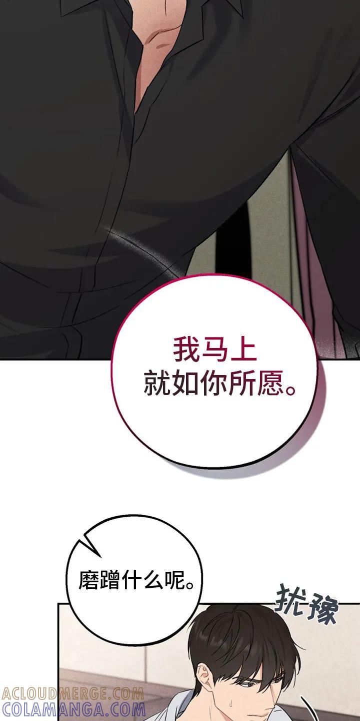 《债务条约》第3章： 犹豫 第19页