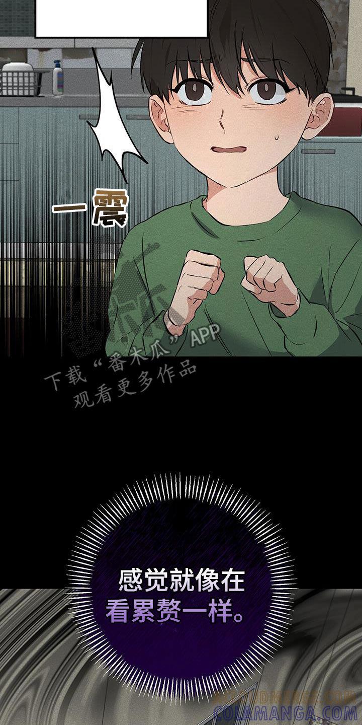 《债务条约》第33章：父亲 第13页