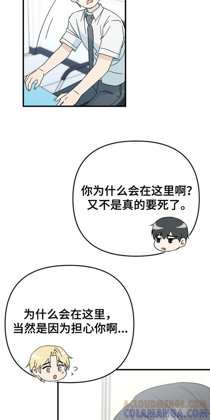 《互补人生》第37章：我们一起看吧 第3页