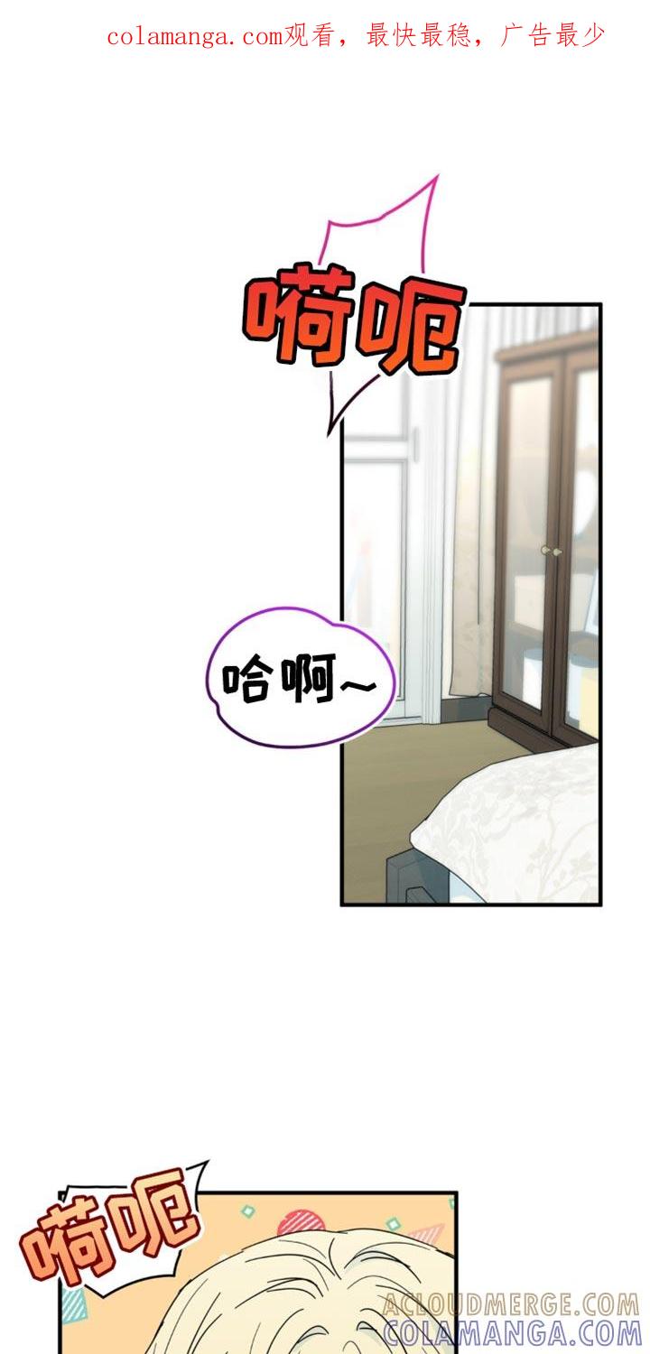 《互补人生》第38章：我接受！ 第1页