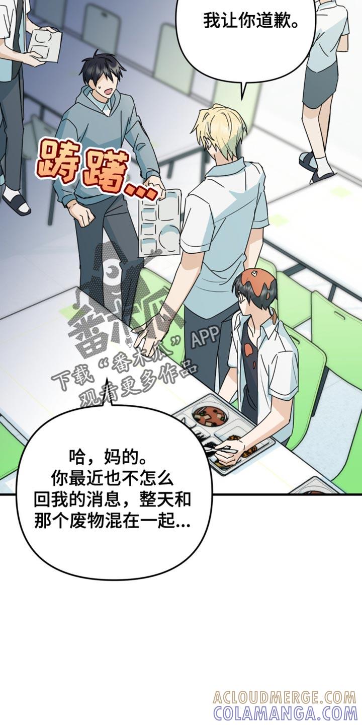 《互补人生》第39章：又遇见了 第13页