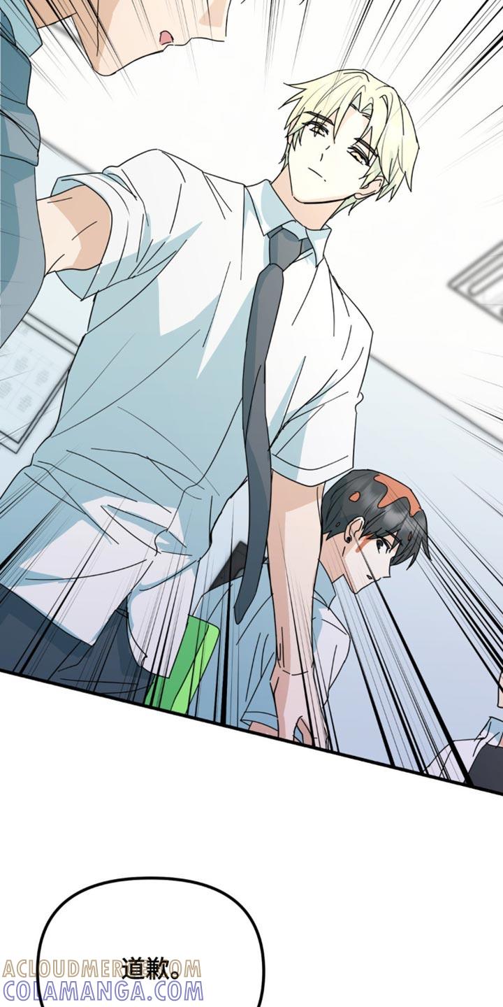 《互补人生》第39章：又遇见了 第11页
